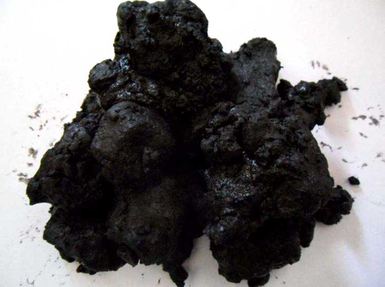 Mud Coal