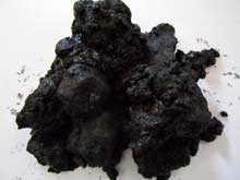 Mud Coal